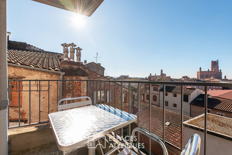 Véritable cocon avec vue en centre-ville d'ALBI