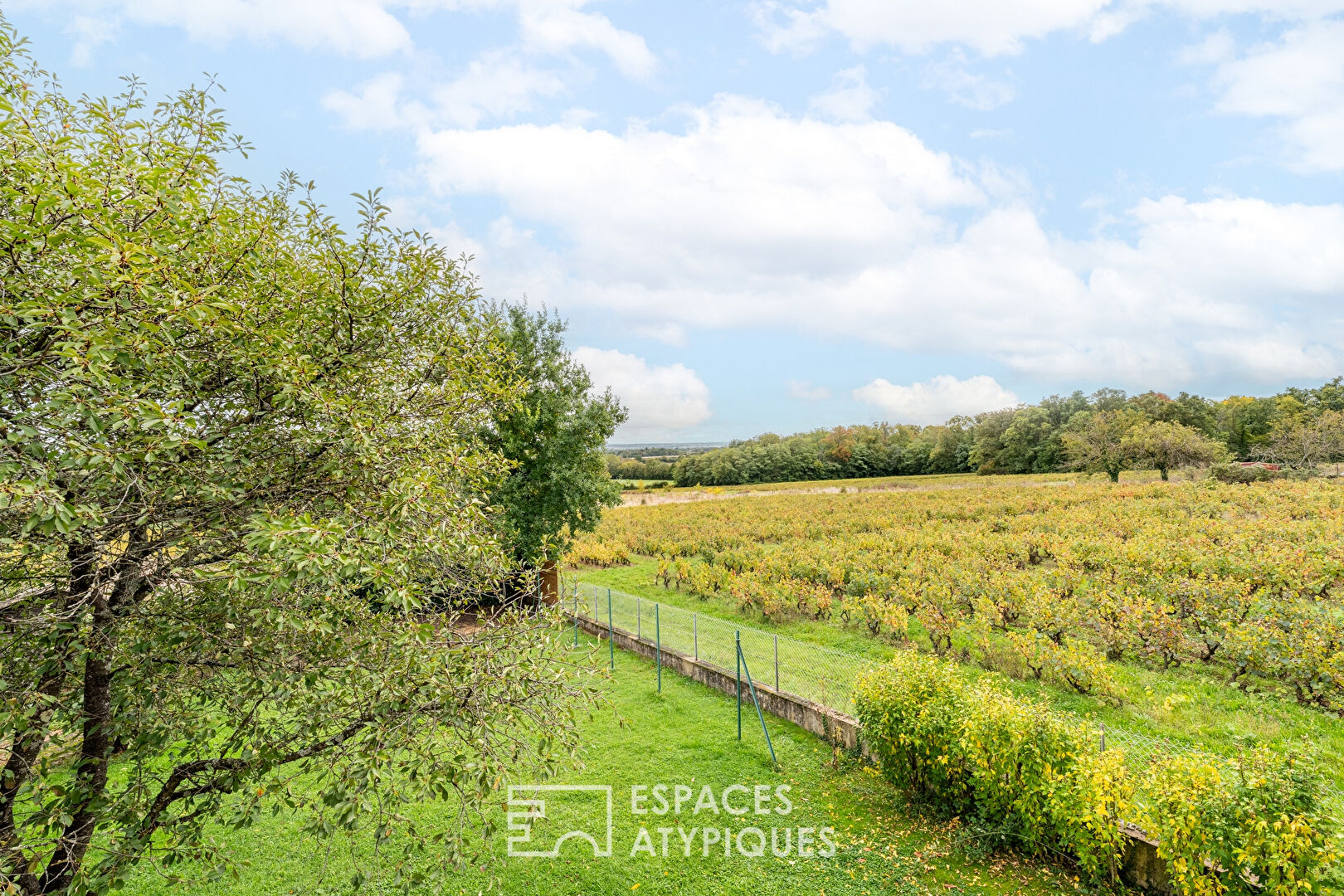 Charming house in the heart of Beaujolais Vert