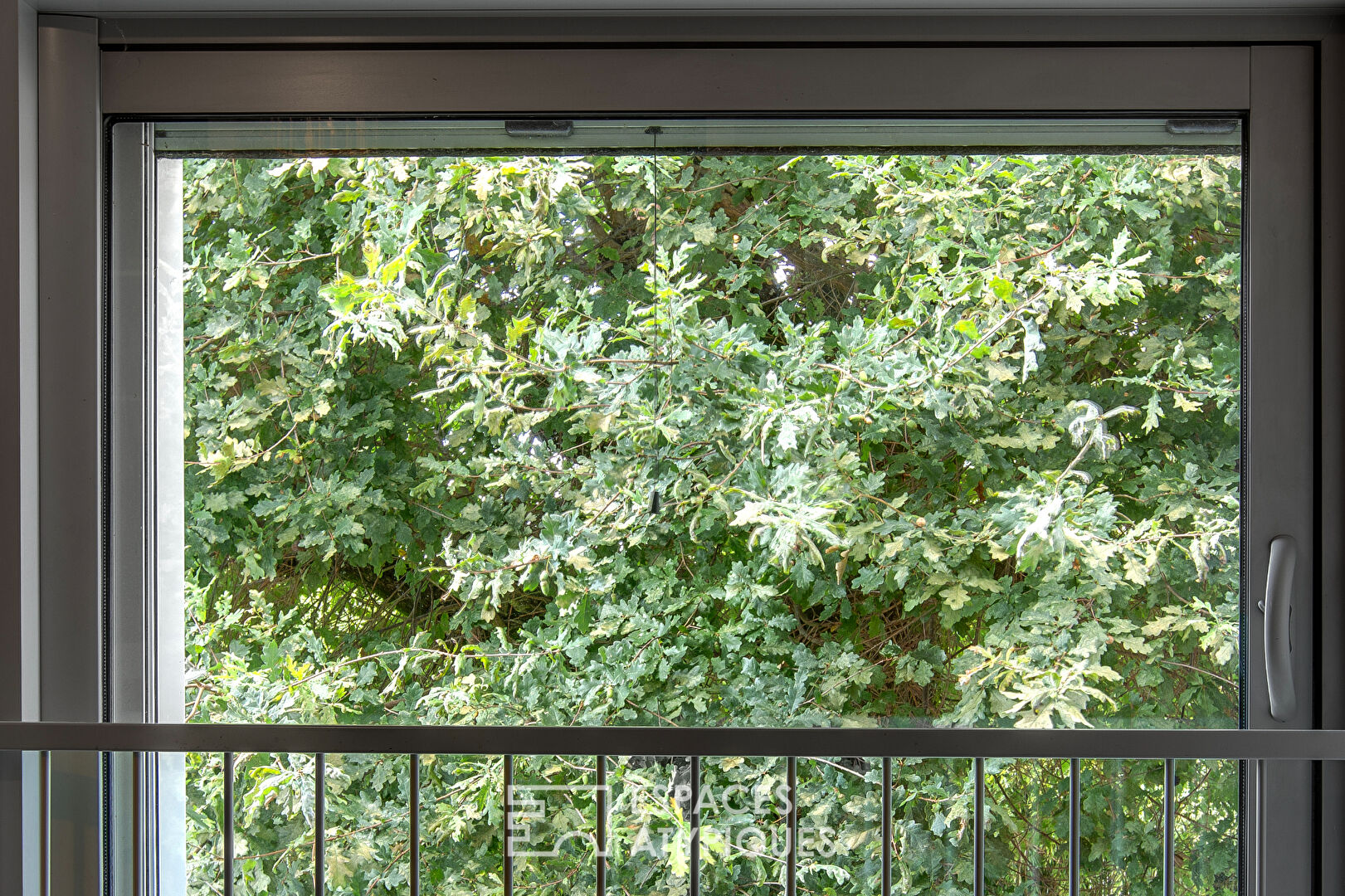 Architect-designed timber-framed house