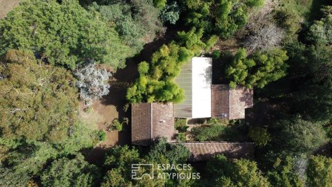 Maison d’architecte à ossature bois en pleine nature