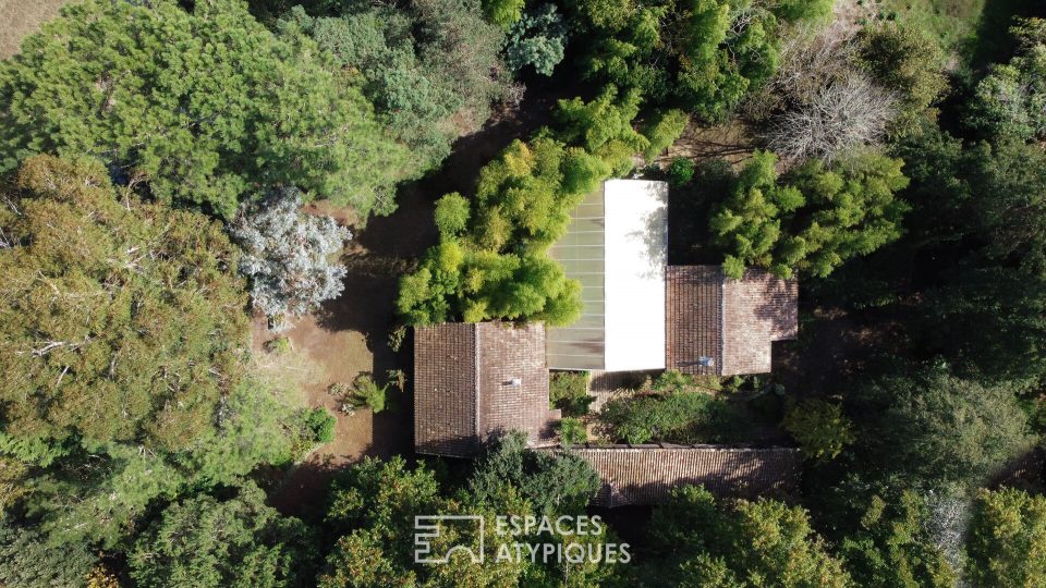 Maison d'architecte à ossature bois en pleine nature