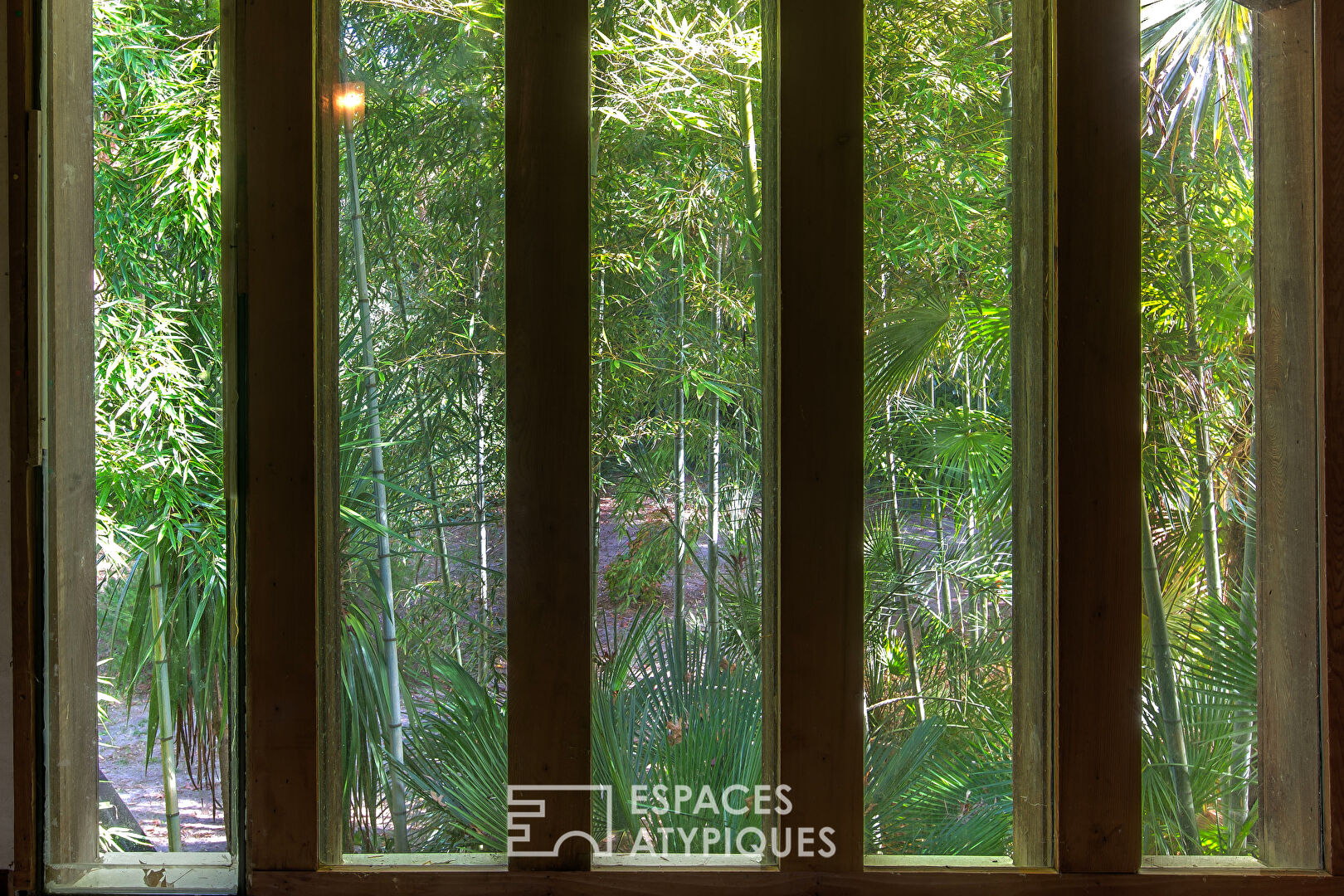 Maison d’architecte à ossature bois en pleine nature