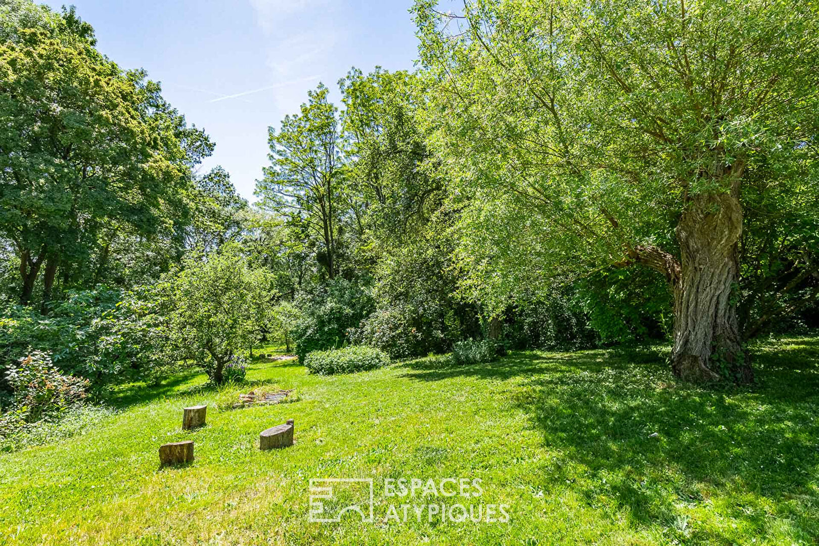 La maison dans les arbres