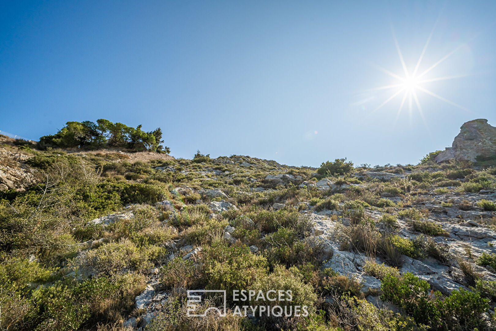 Terrain diffus avec vue sur l’étang de Bages