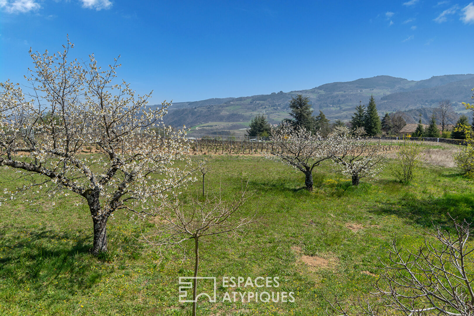 Maison de vigneron à réinventer avec vue sur les monts d’Ardèche .