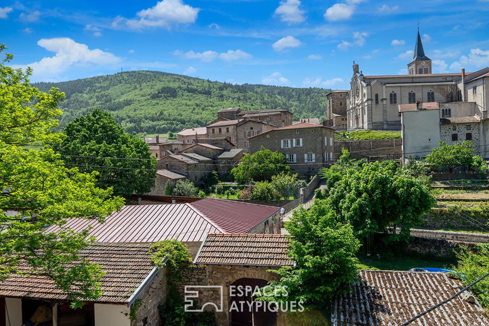 Exceptionnel en Ardèche verte cet hôtel particulier du 17ème siècle est  propice à de nombreux projets.