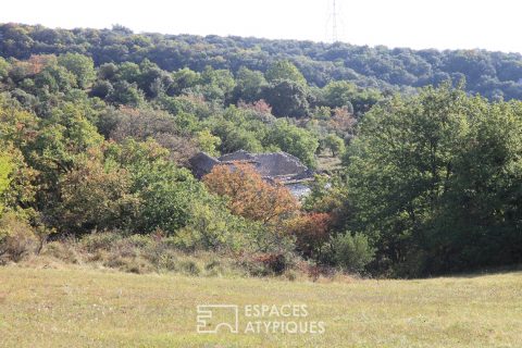 Ruines avec 18 hectares de terrain