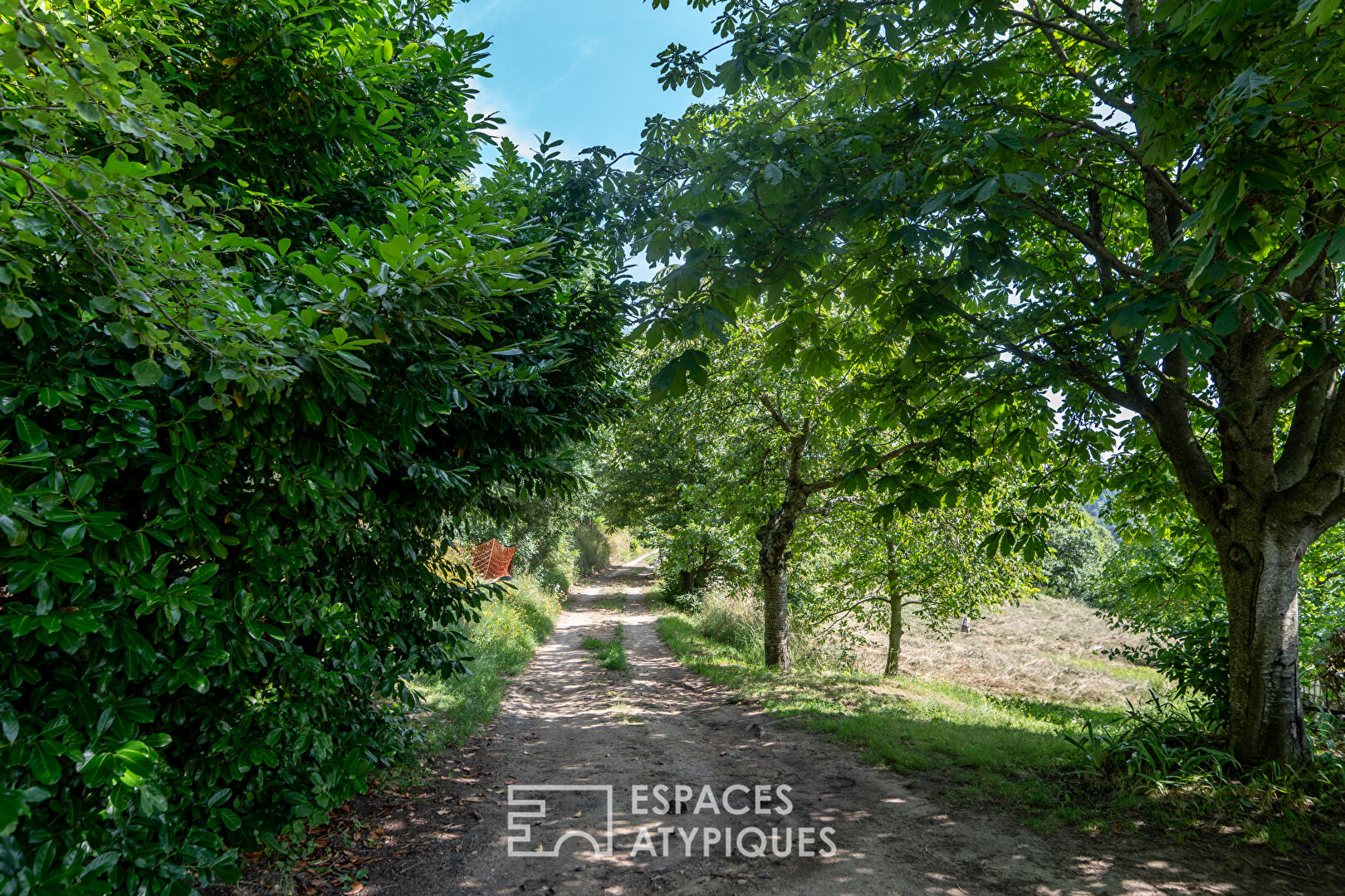 Maison en pierre rénovée avec vue préservée et 16 hectares en Ardèche