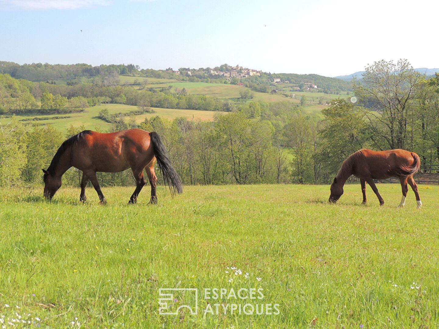 Propriété avec bâtisse en pierre rénovée et 5 hectares de terrain en Ardèche