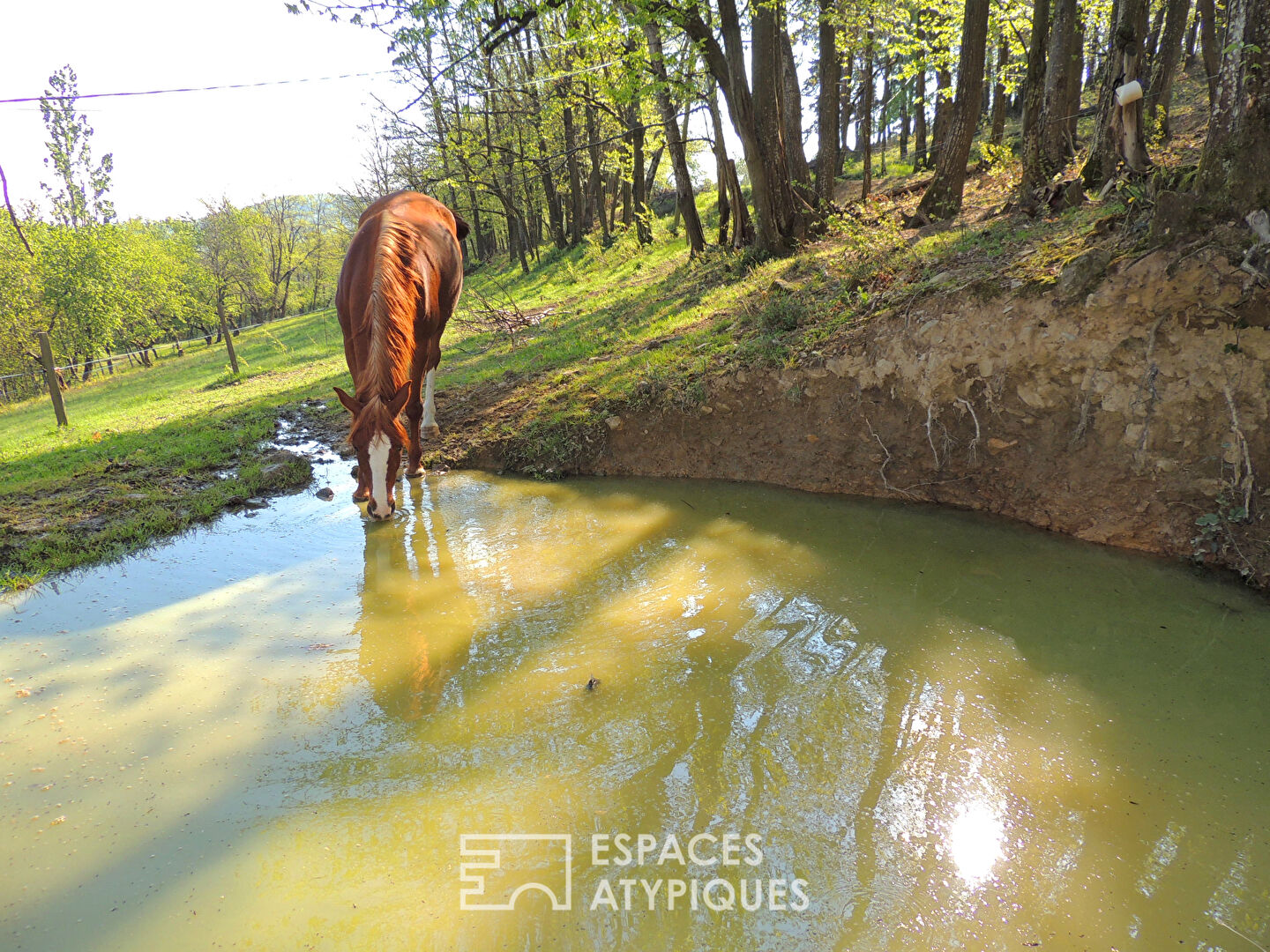 Propriété avec bâtisse en pierre rénovée et 5 hectares de terrain en Ardèche