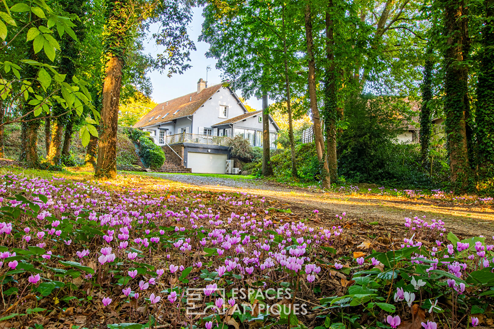 Beautiful country house