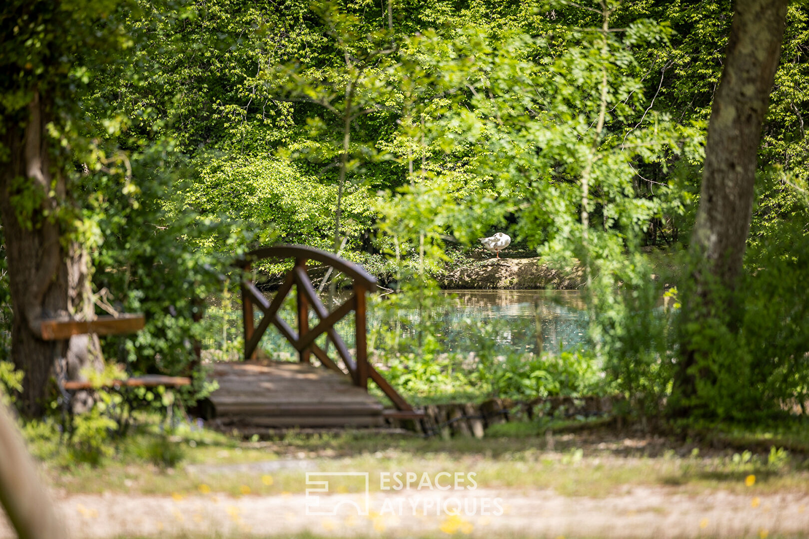 L’incroyable propriété d’exception en bois dans son parc arboré de 2,8ha