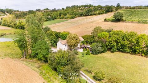 Maison de charme avec gîte dans le Quercy