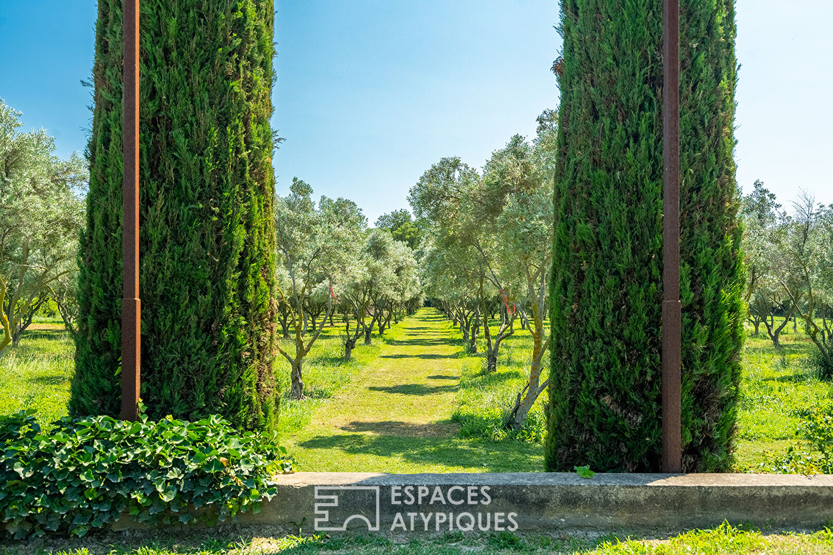 Provencal house and its olive grove