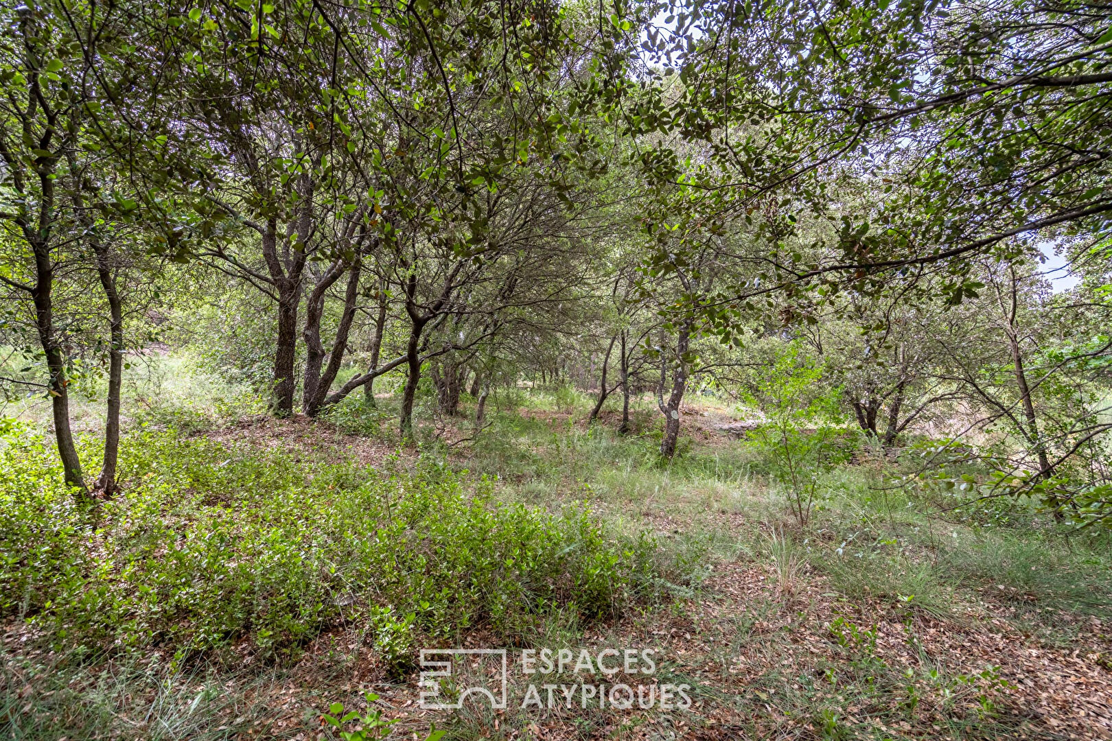 Provencal house with swimming pool in the heart of the scrubland