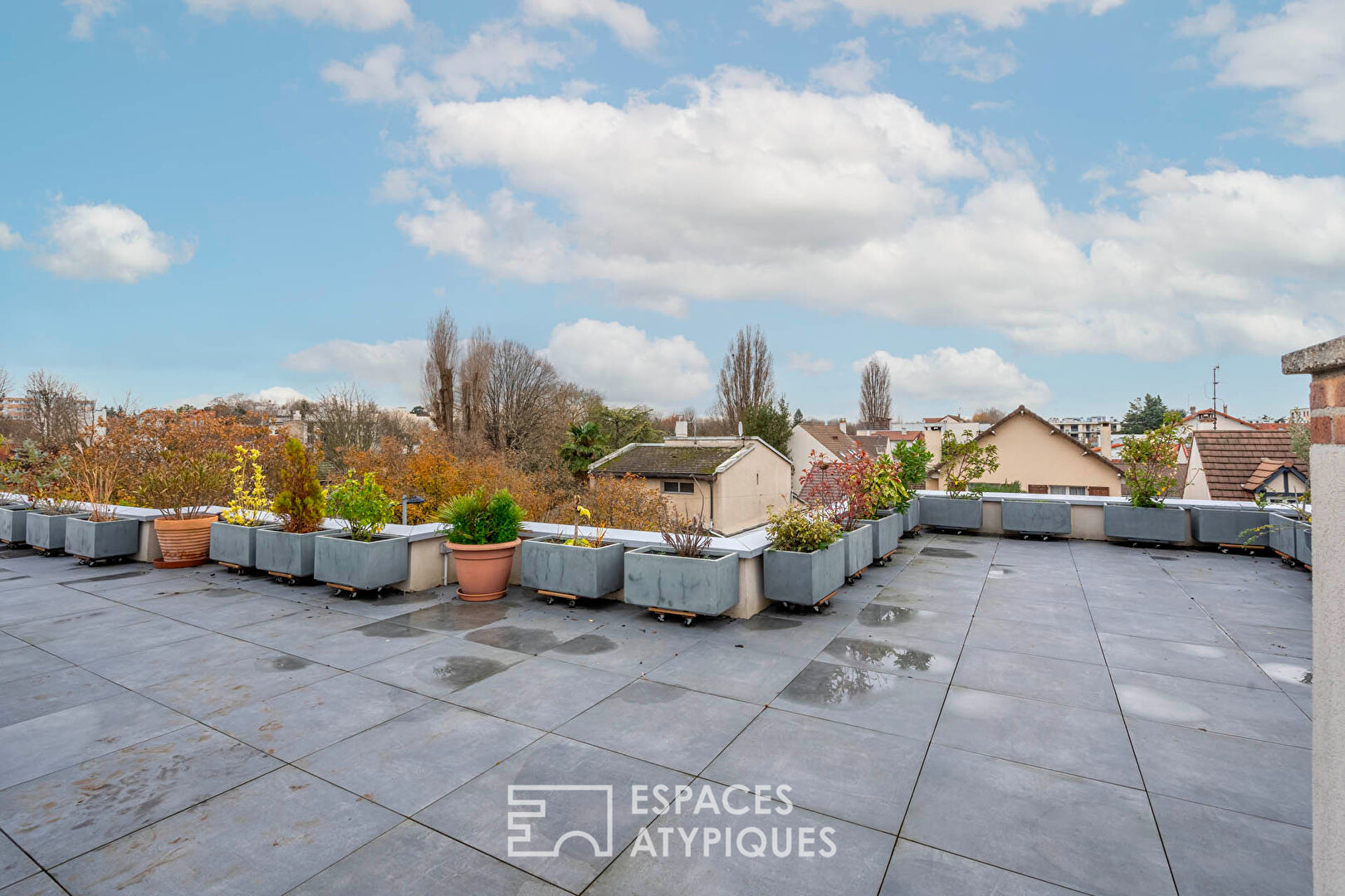 Maison rénovée en bords de Marne avec rooftop et terrasse