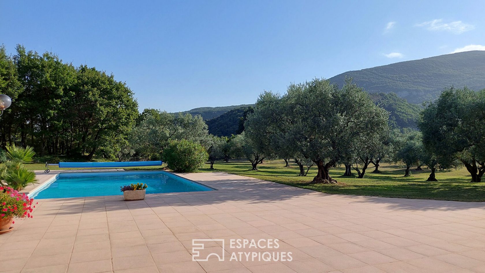 Exceptional property and its olive grove