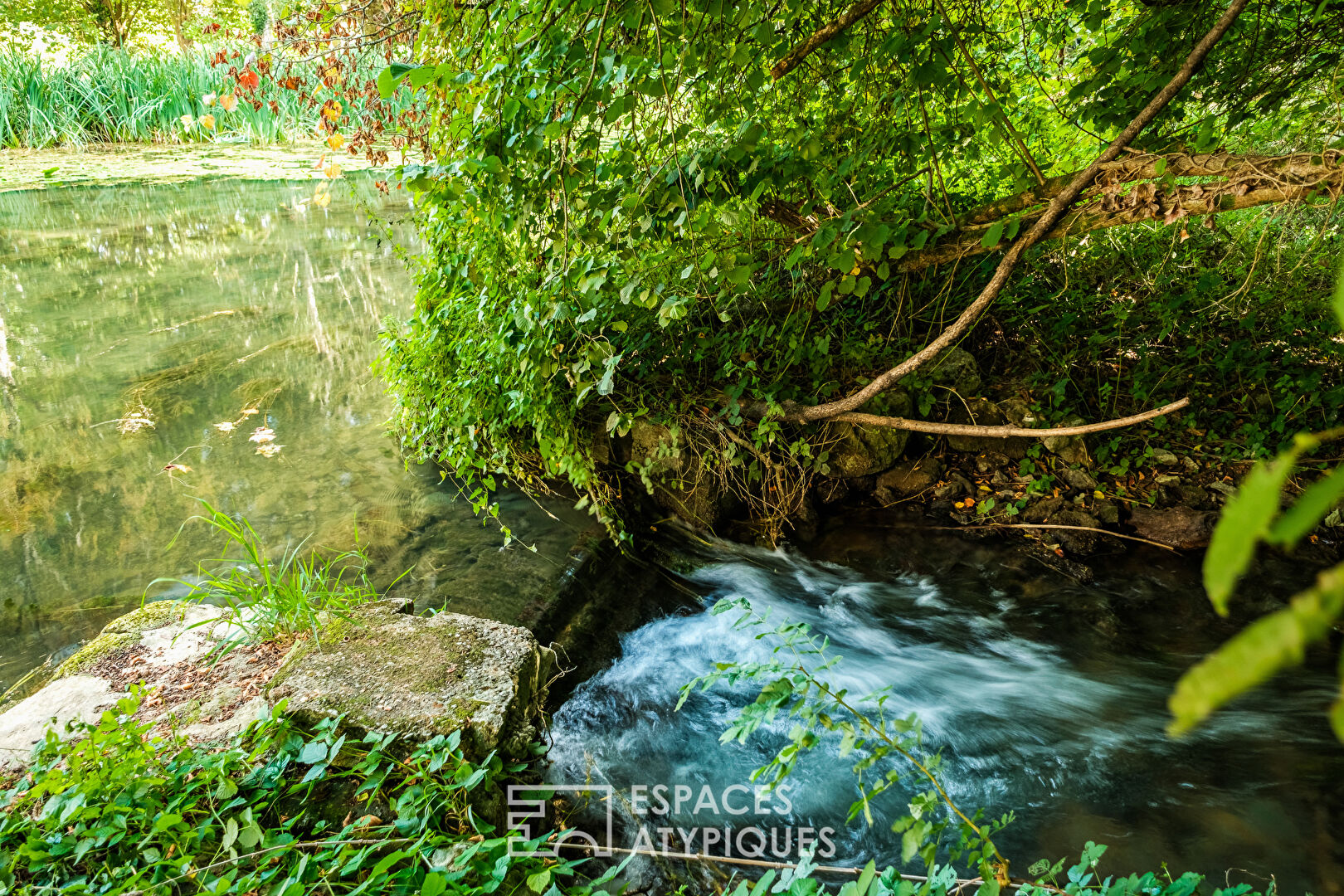 Illustrious mill on the banks of the Sèvre to be reinvented