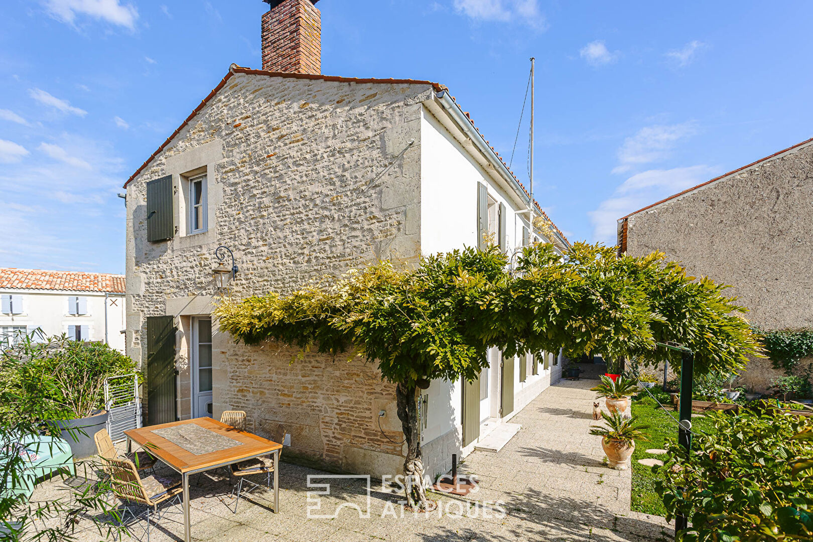 Farmhouse, its cellar and its bank in the Poitevin marsh