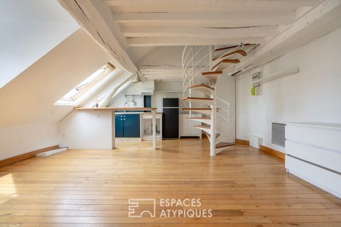 Dernier étage en duplex avec vue sur les toits