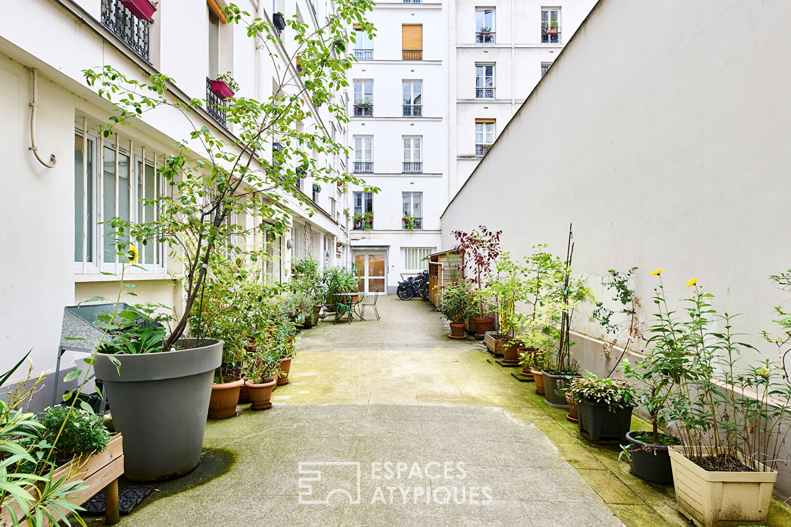 Contemporary courtyard apartment